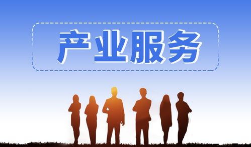 斯百德信息技術(shù)咨詢服務(wù) 專業(yè)智庫支持與產(chǎn)業(yè)項(xiàng)目對接